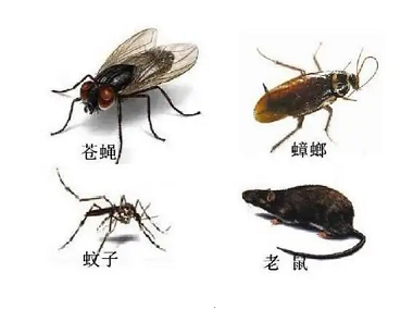 正果控制有害生物站居家、商用通用四害防控方案